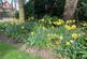 Additional image 34 of Wood Lane, Wickersley, Rotherham, South Yorkshire, S66
