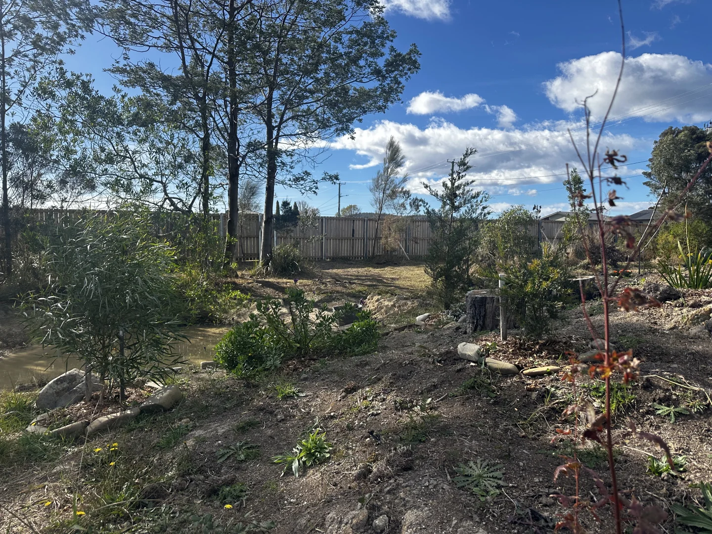 Additional image 13 of 29-33 Medea Street, St Helens TAS 7216