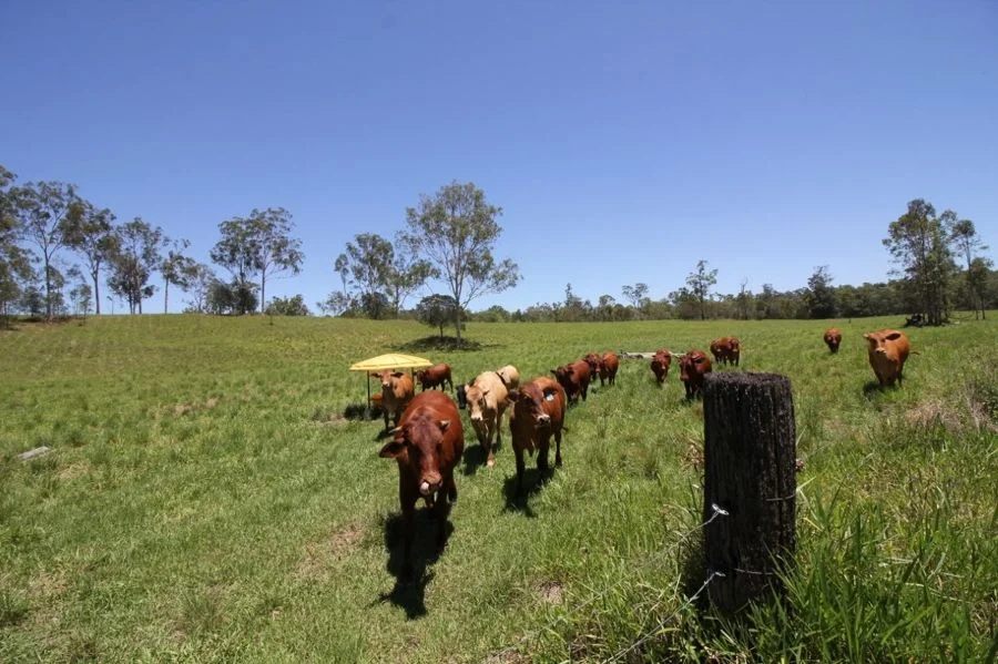Additional image 20 of 45 Sheahan Road, Berajondo QLD 4674