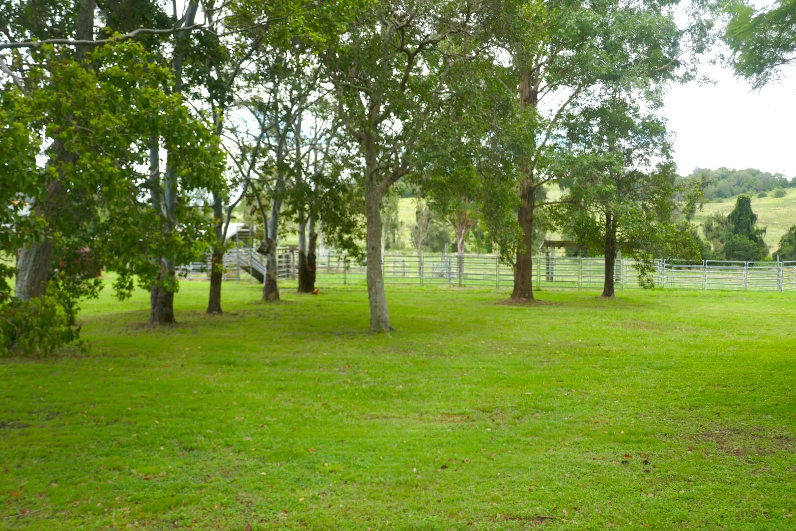 Additional image 5 of 495 Upper Stratheden Road, Kyogle NSW 2474