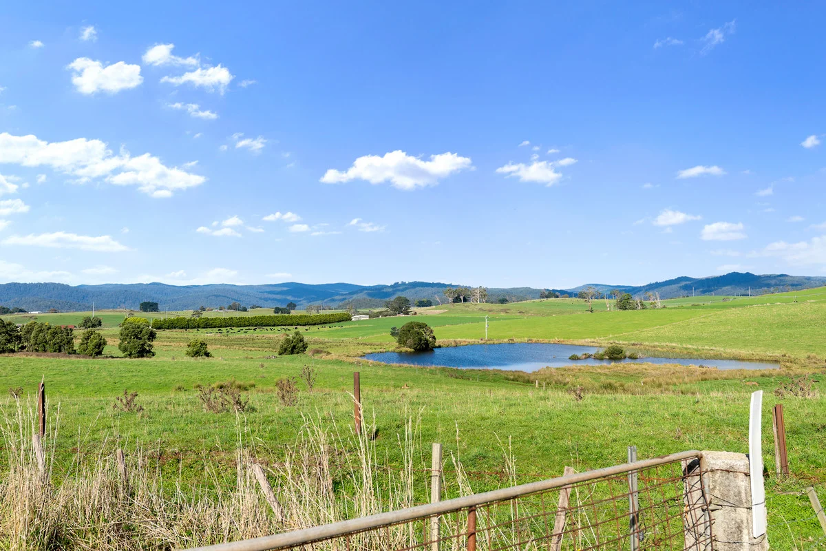 Additional image 7 of 1 Hardmans Lane, Winnaleah TAS 7265