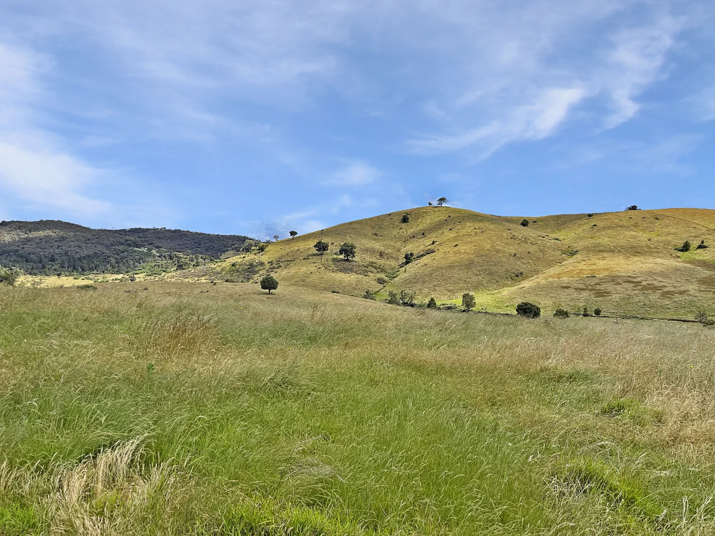 Additional image 4 of Mount Darling Road, Wyangala NSW 2808