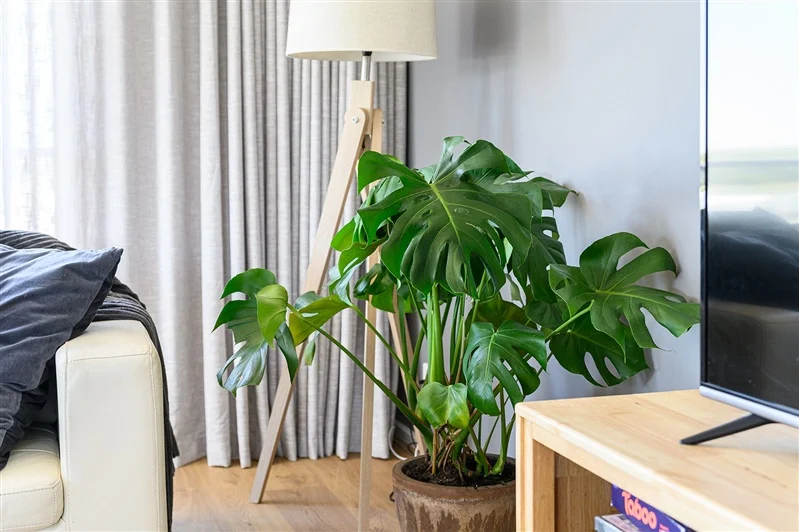 Additional image 12 of 4a Bonwick Court, Kilcunda VIC 3995