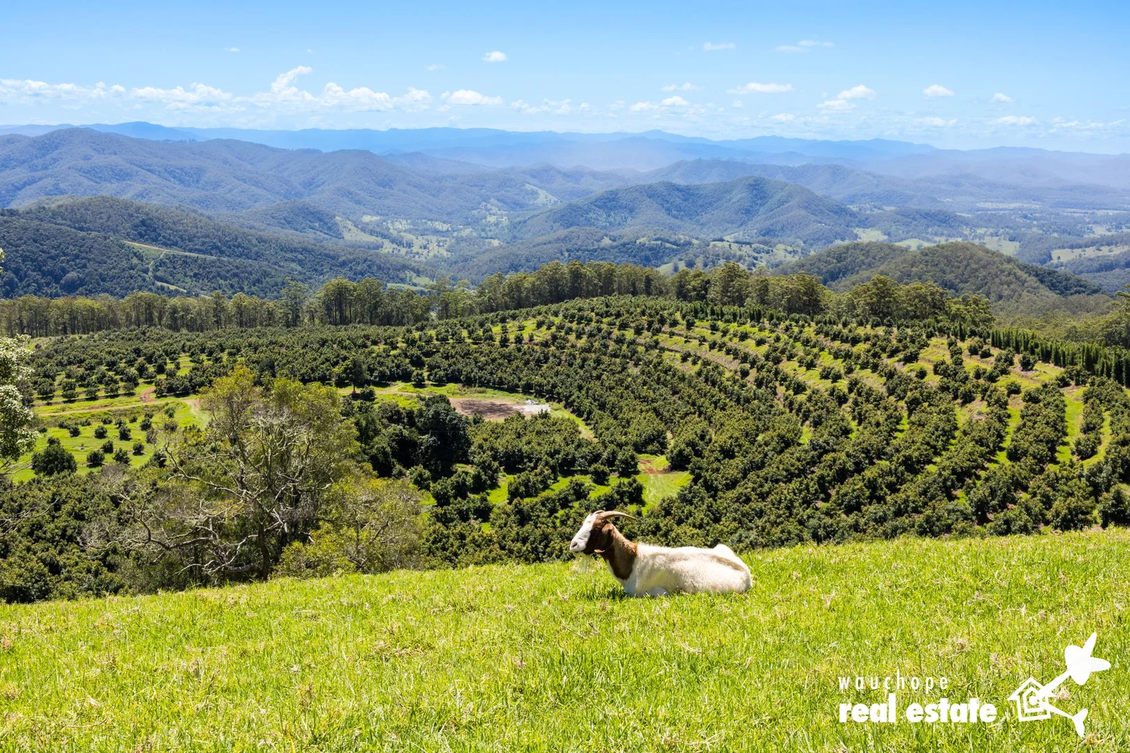 Additional image 26 of 933 Innes View Road, Innes View NSW 2429