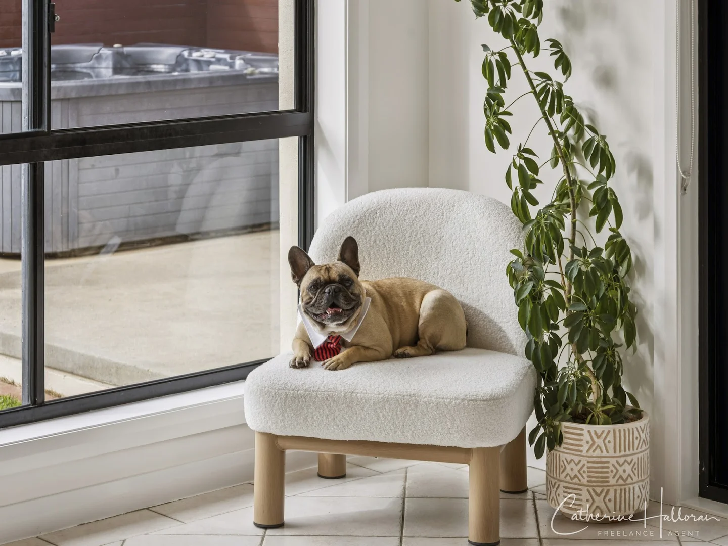 Additional image 9 of 9 Gordon Close, Nicholls ACT 2913