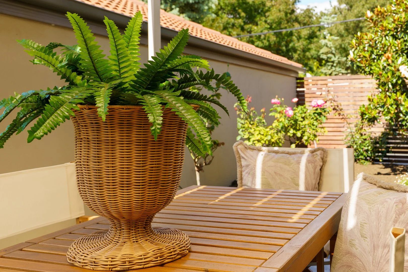 Additional image 5 of 3/59 Hodgson Crescent, Pearce ACT 2607