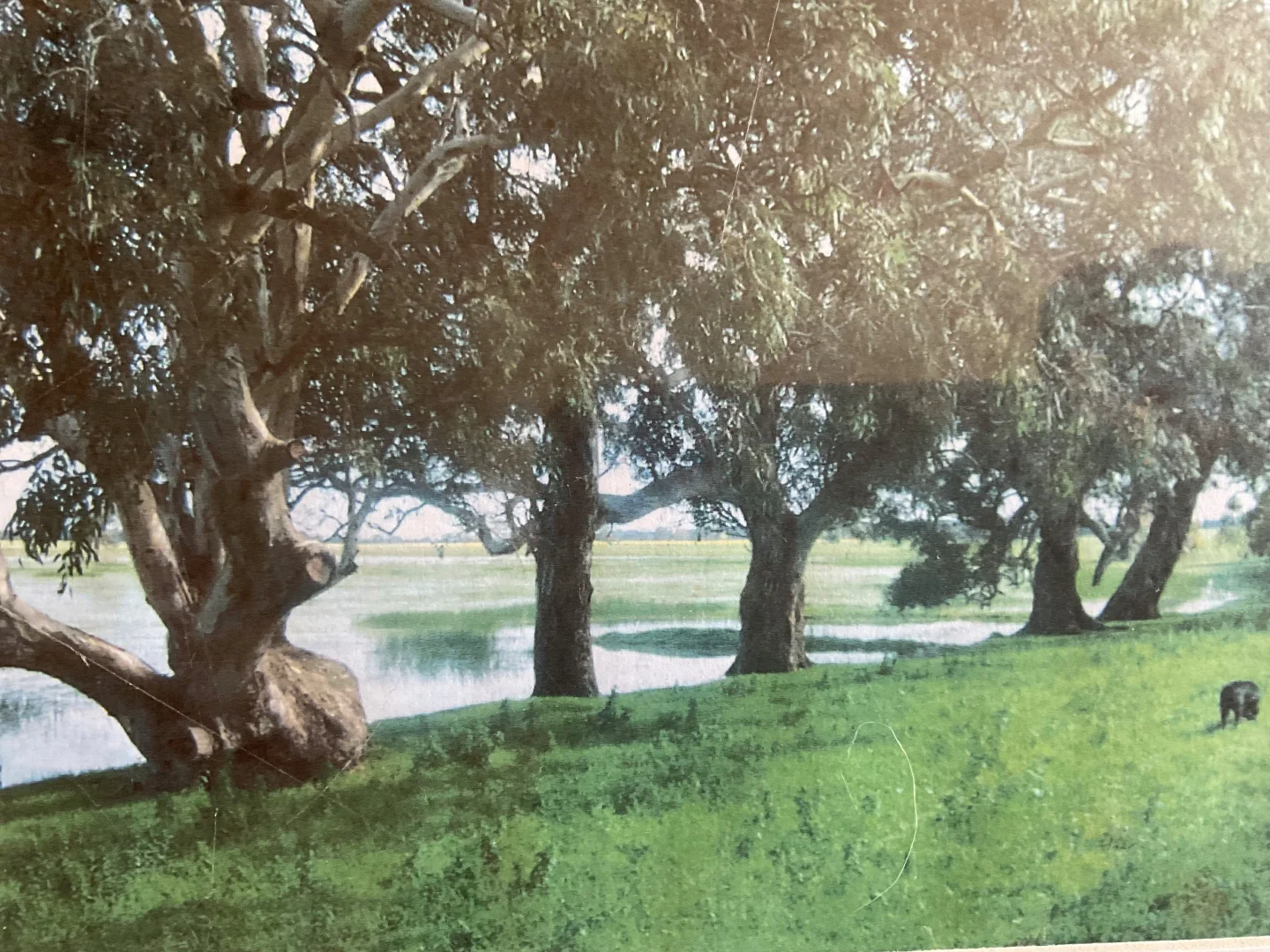 Additional image 9 of 110 Woorndoo-Chatsworth Road, Woorndoo VIC 3272