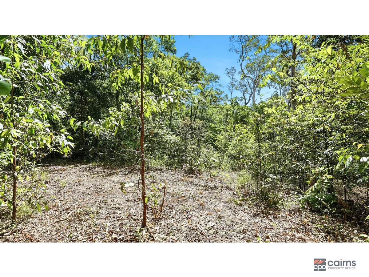 Additional image 11 of 2 Pine Creek Yarrabah Road, East Trinity QLD 4871