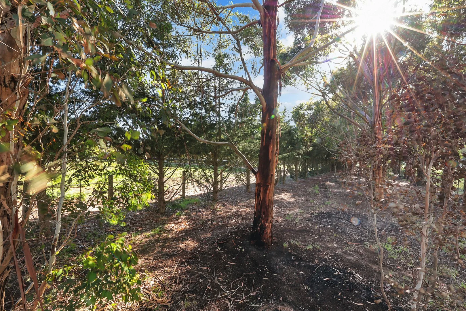 Additional image 30 of 50 Blakeville Road, Ballan VIC 3342