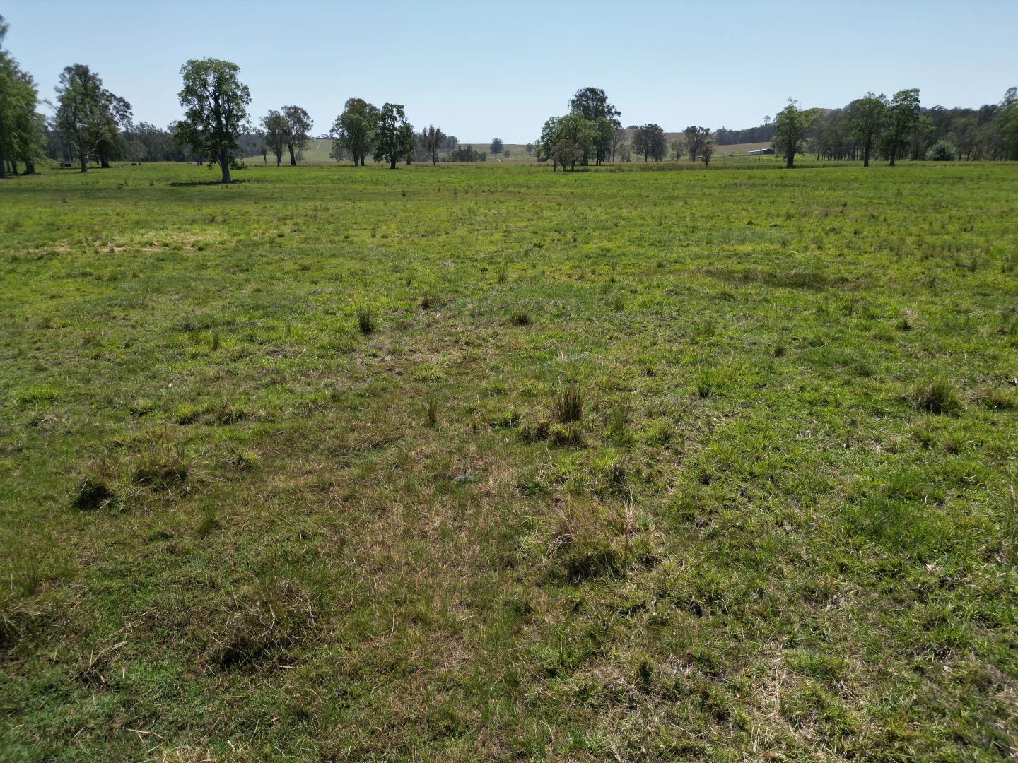 Additional image 6 of 140 Hogarth Range Road, Mongogarie NSW 2470