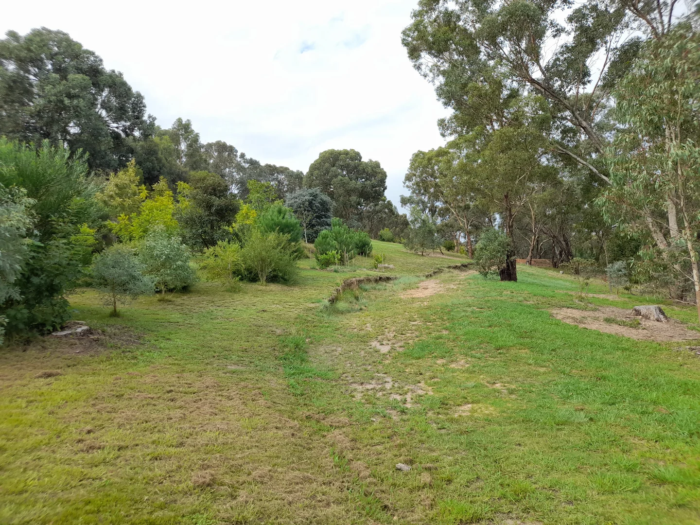 11 Gaff Court, Wodonga VIC 3690