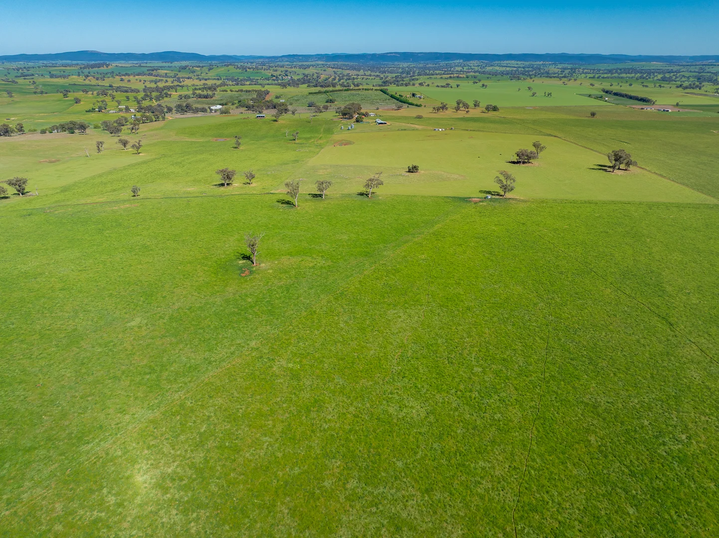 Additional image 20 of 'Wandella Park' 1097 Davys Plains Road via Cudal,, Orange NSW 2800