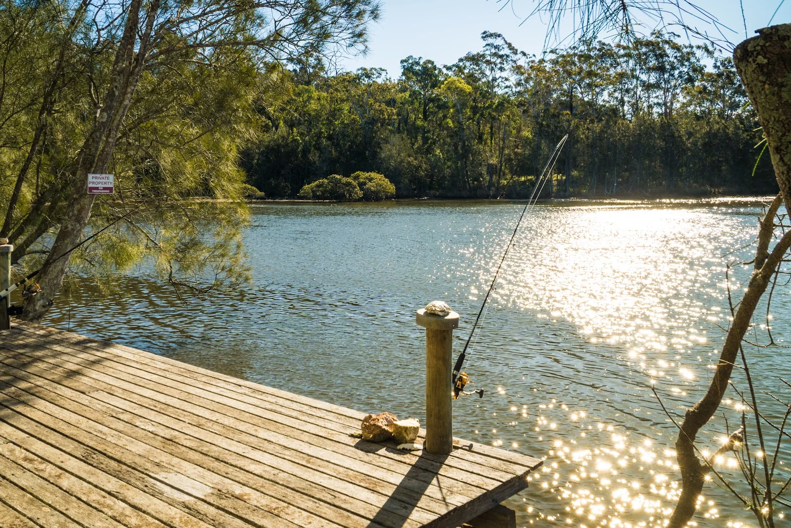 Additional image 51 of 950 Wagonga Scenic Drive, Narooma NSW 2546