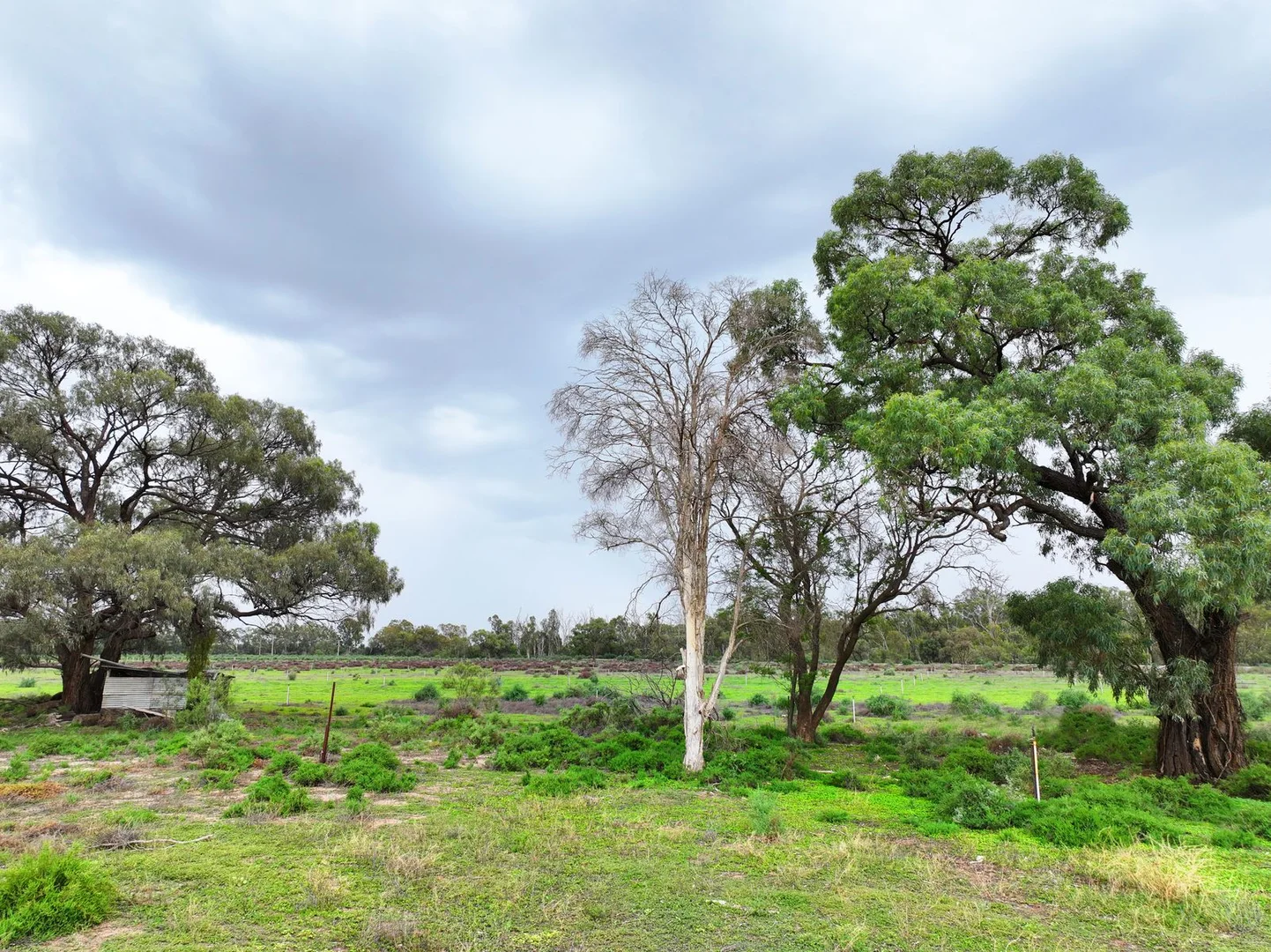 Additional image 6 of 87 Blake Road, Iraak VIC 3494