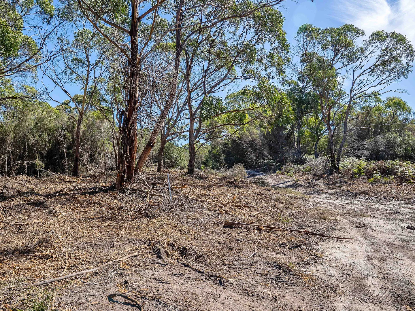 Additional image 7 of . Pot Boil Road, Lady Barron TAS 7255