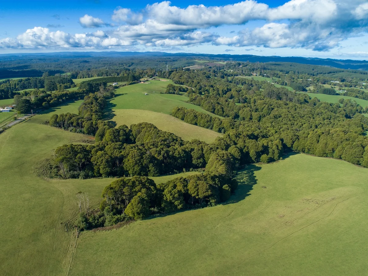 Additional image 12 of 125 Beech Forest - Lavers Hill Road, Beech Forest VIC 3237