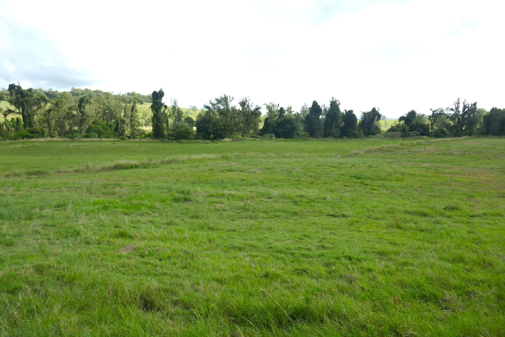 Additional image 13 of 495 Upper Stratheden Road, Kyogle NSW 2474