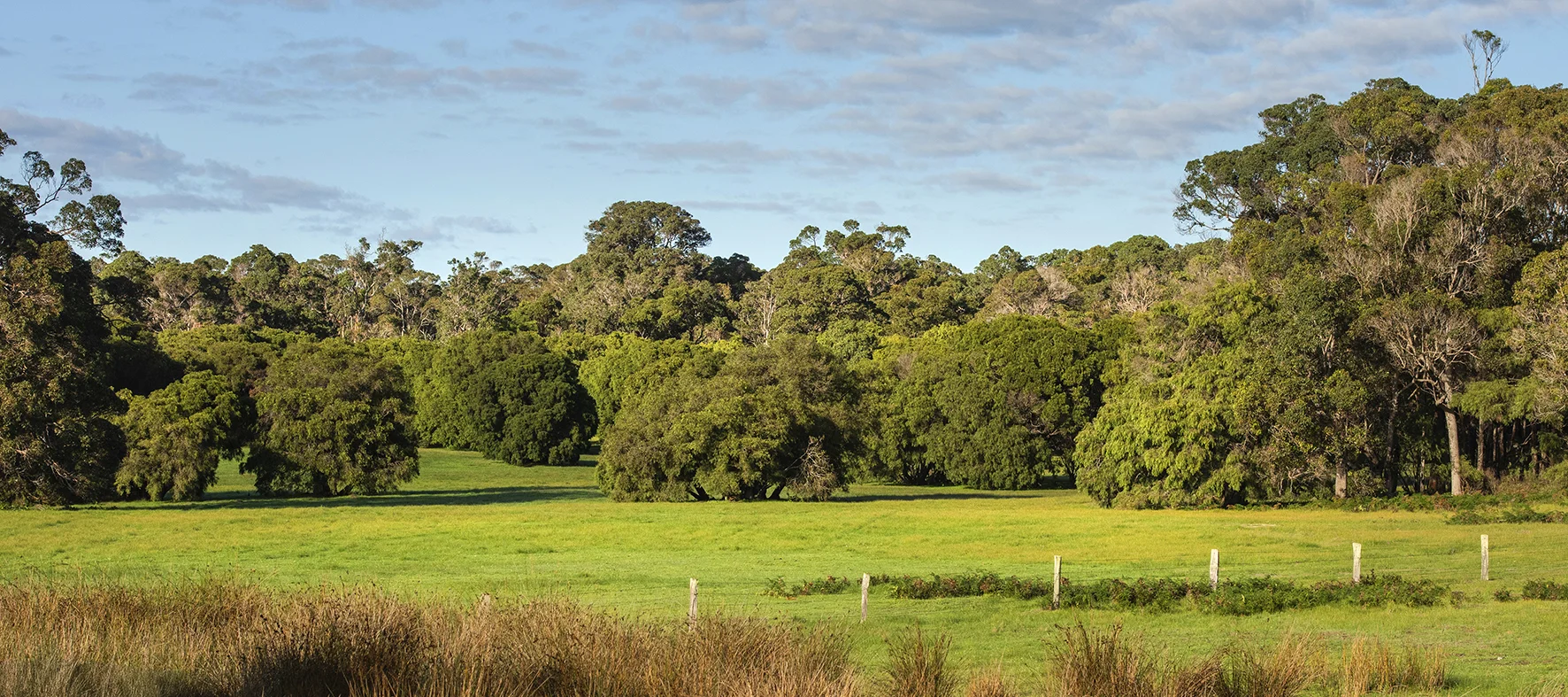 Additional image 21 of Stage 1B Blackwood Grove, Kudardup WA 6290