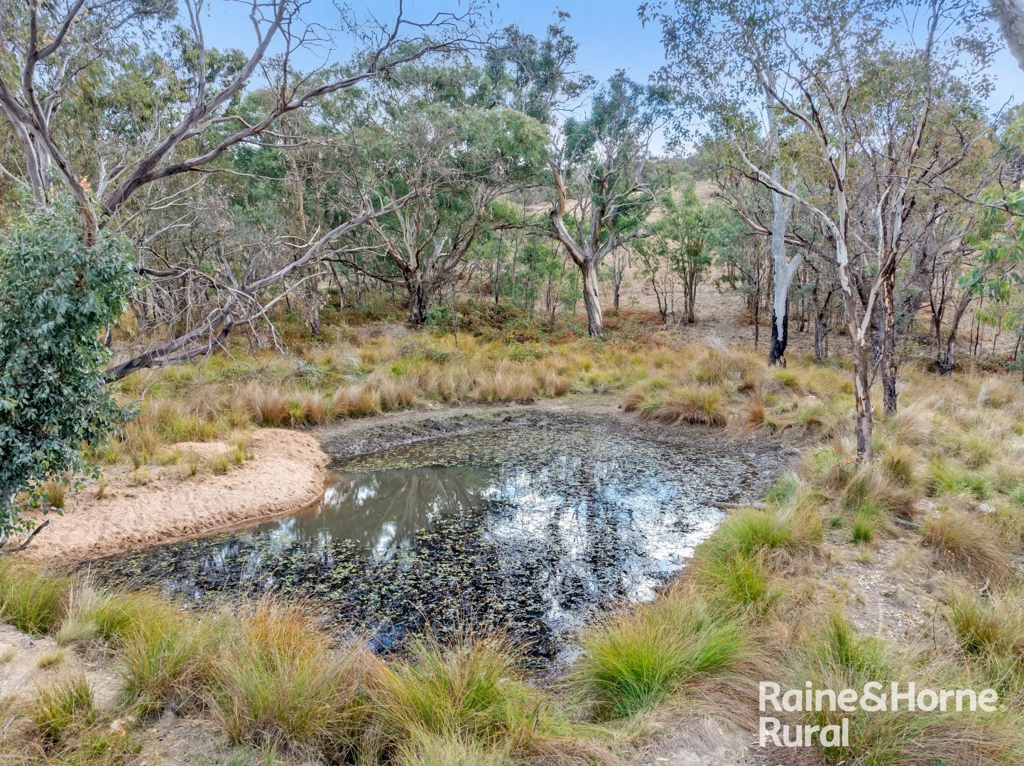 Additional image 23 of 1036 Greenmantle Road, Bigga NSW 2583