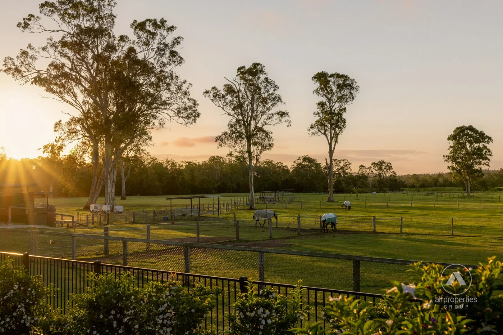 Additional image 29 of 115-117 RIEMORE CIRCUIT, Tamborine QLD 4270