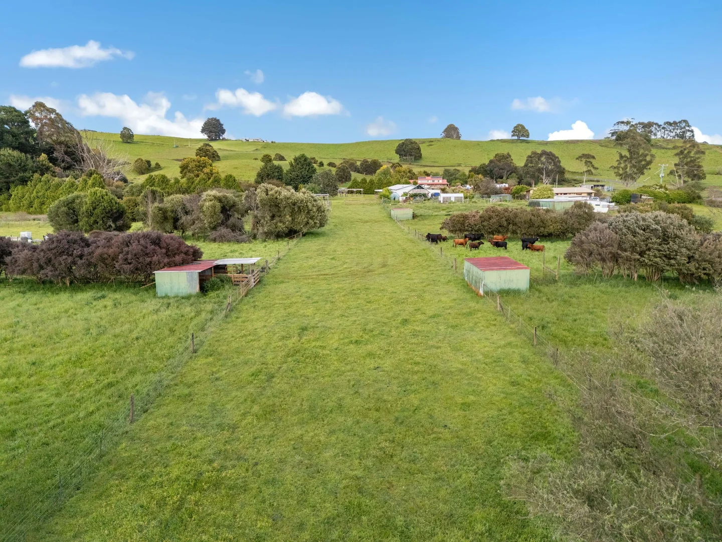 Additional image 39 of 309 West Ridgley Road, West Ridgley TAS 7321