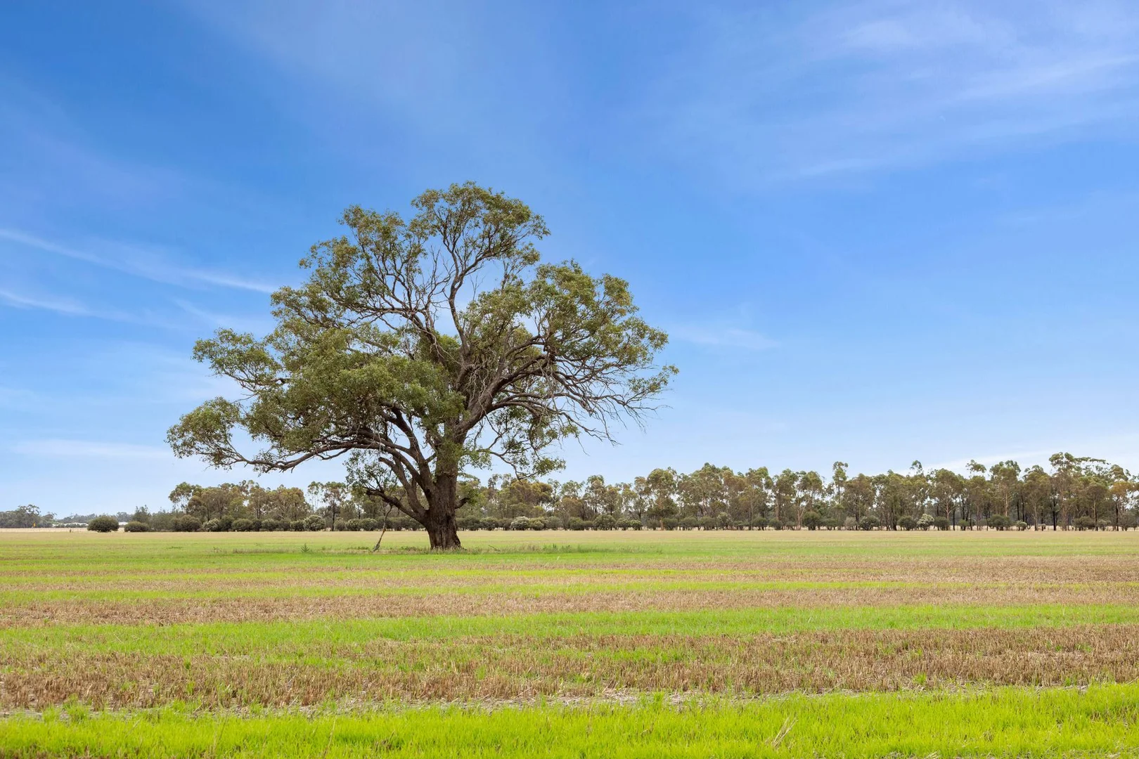 Additional image 5 of CA 57B Elmore-Minto Road, Elmore VIC 3558