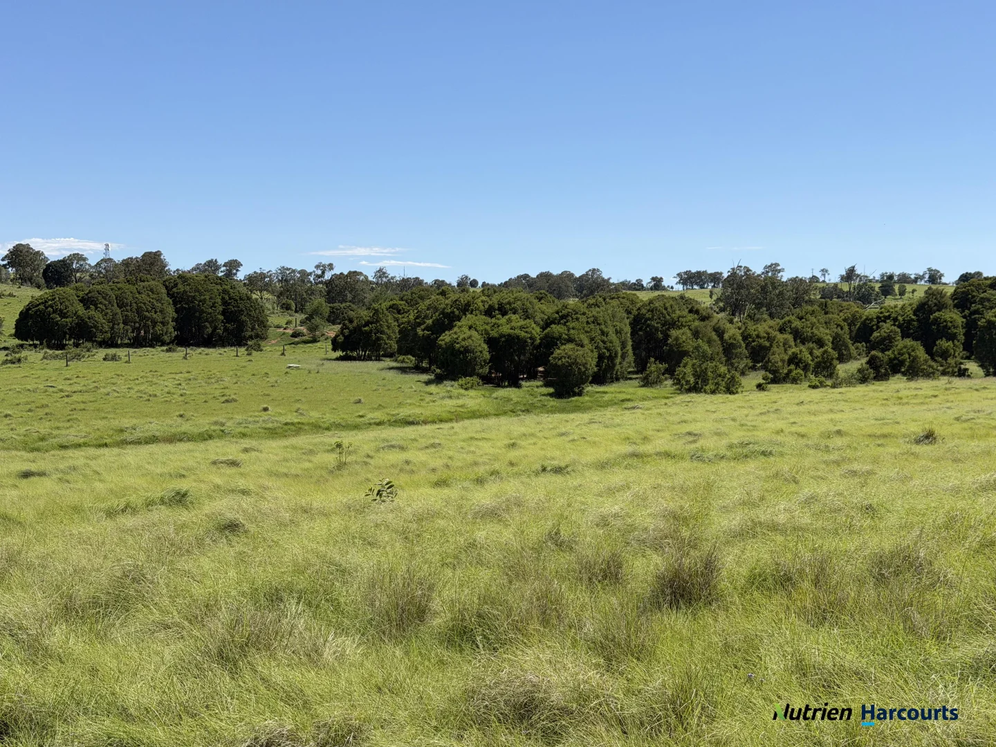 Additional image 32 of 960 Dangore Mountain Road, Dangore QLD 4610