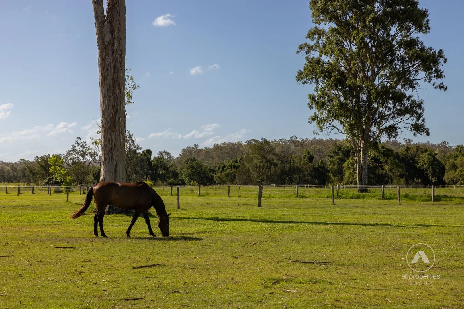 Additional image 32 of 115-117 RIEMORE CIRCUIT, Tamborine QLD 4270