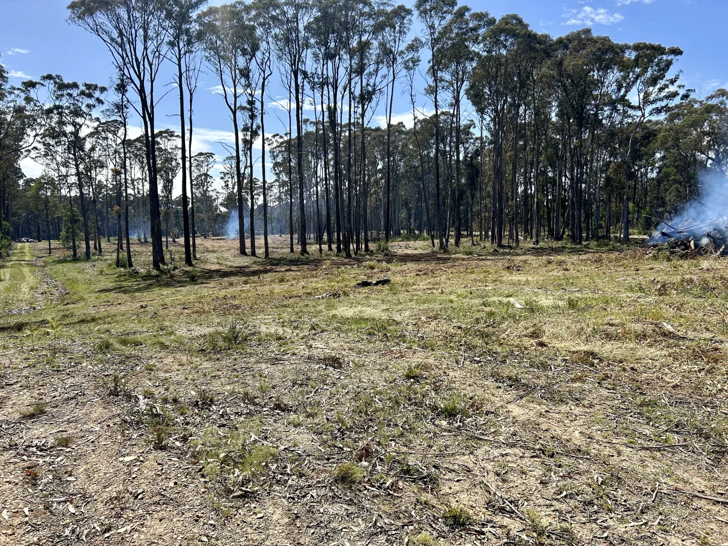 Additional image 10 of 175 Blighs Road, Trentham VIC 3458