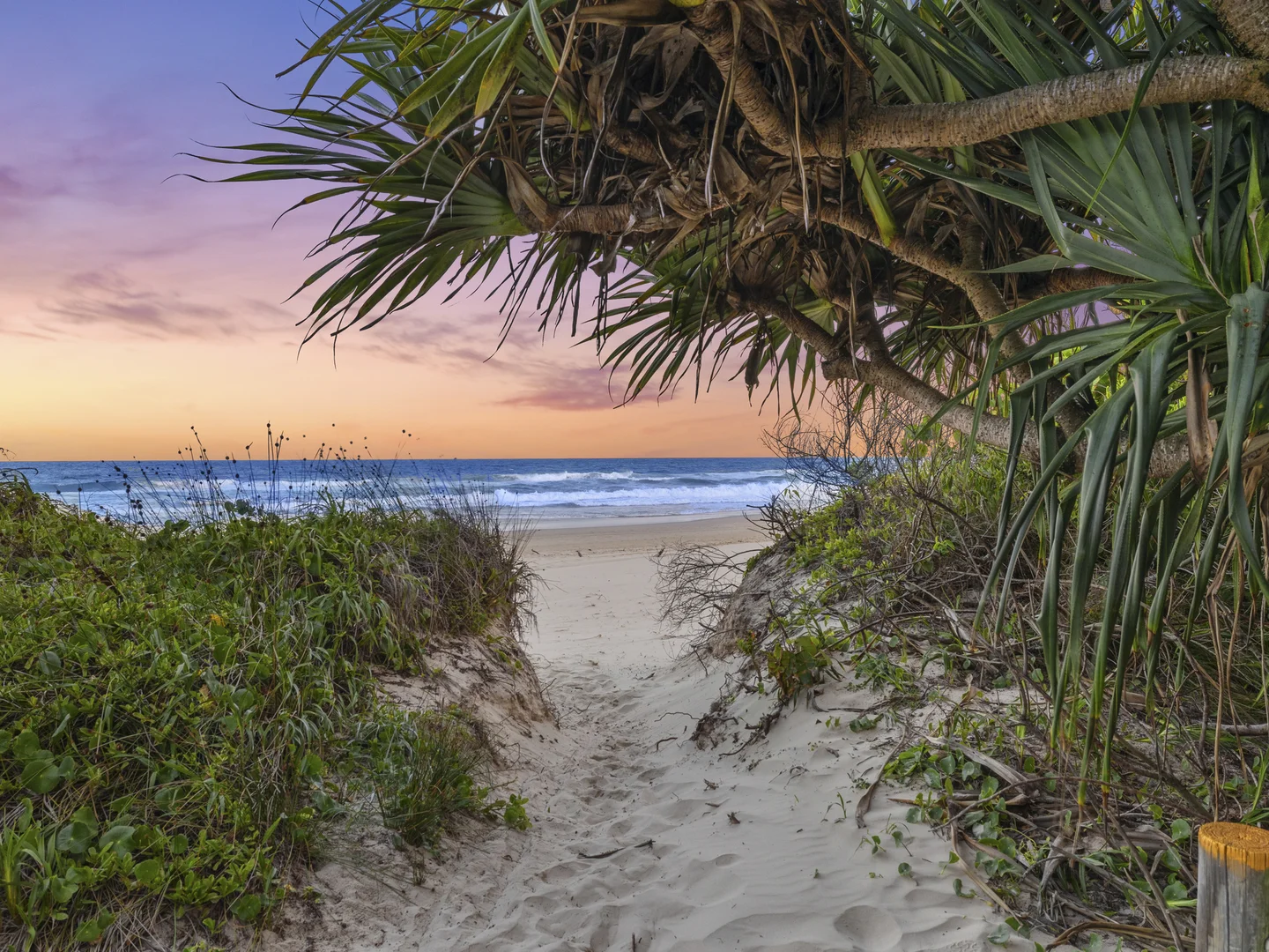 Additional image 30 of 26 Collins Lane, Casuarina NSW 2487