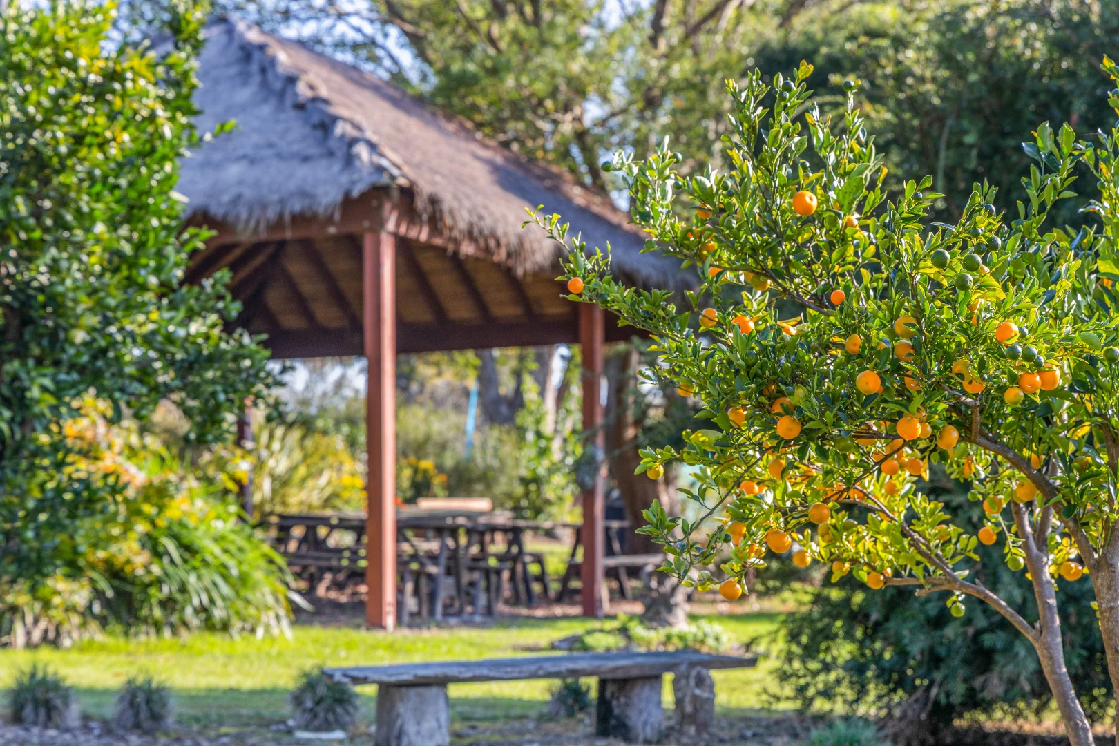 Additional image 14 of 59 Avernus Street, Cobargo NSW 2550