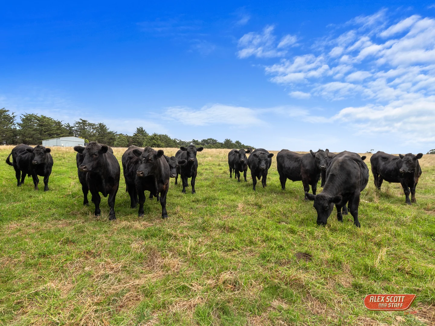 Additional image 13 of 1990 Phillip Island Road, Cowes VIC 3922