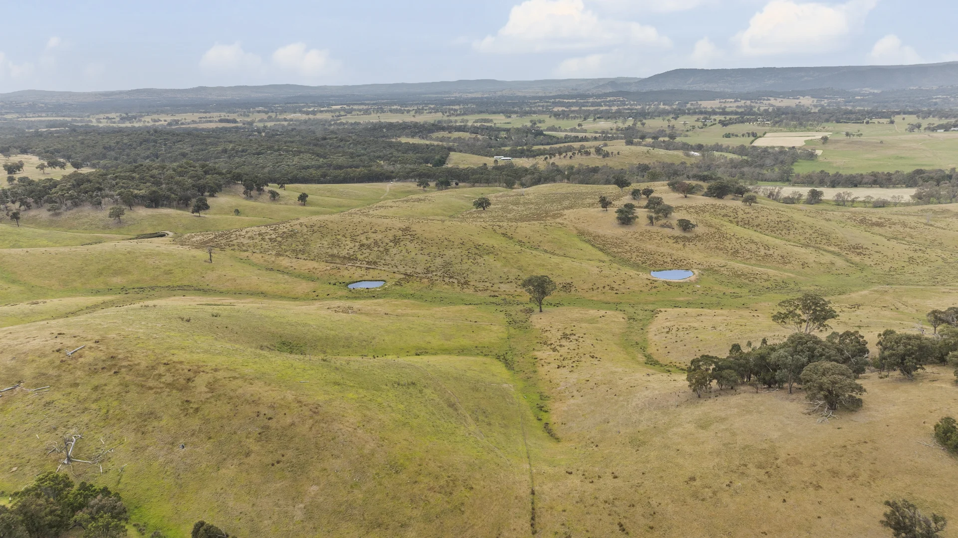 Additional image 9 of 600 Seymour-Pyalong Road, Hilldene VIC 3660