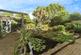 Additional image 20 of Sutton Avenue, Seaford, BN25
