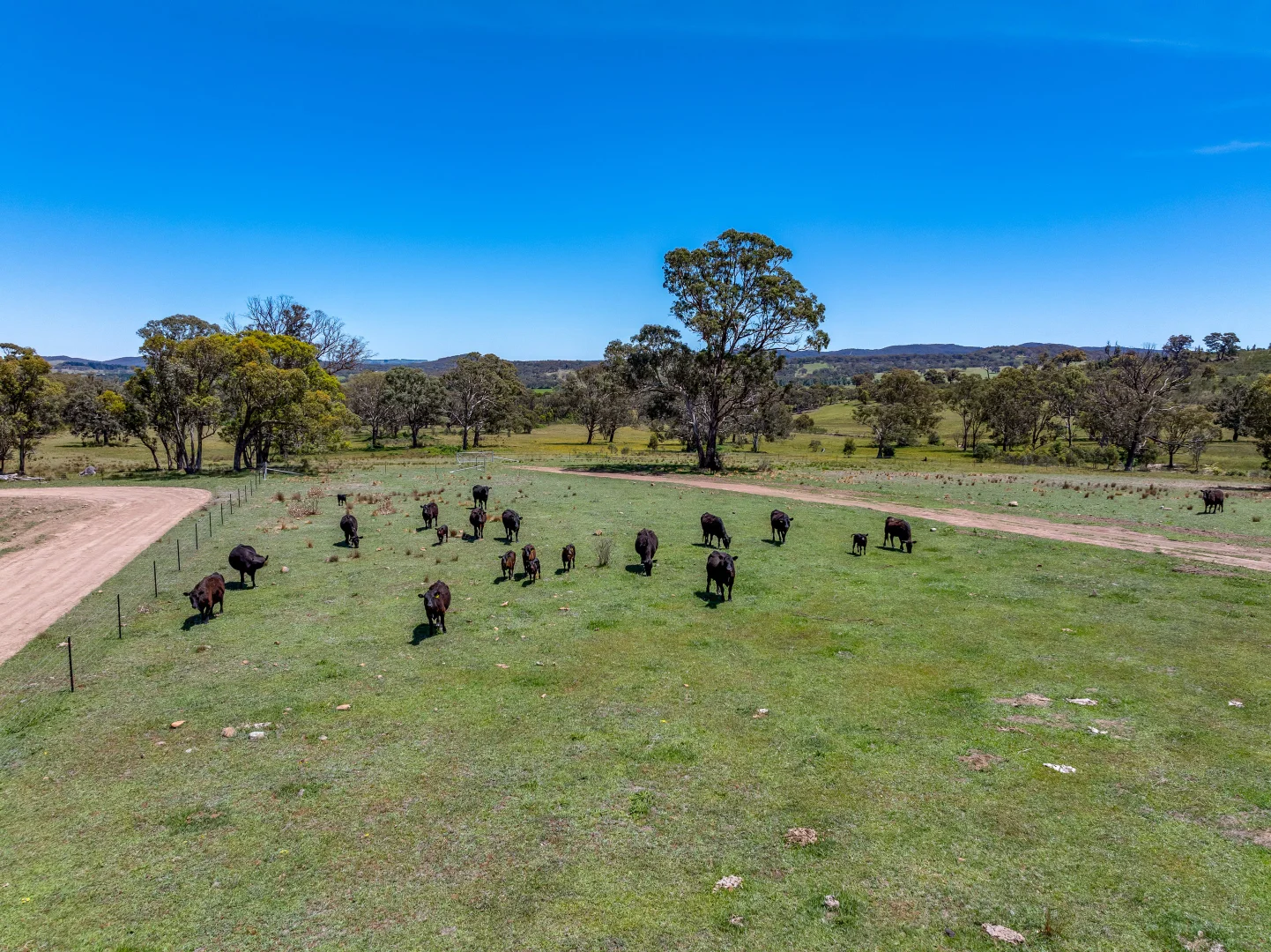 Additional image 8 of 80 - 83/278 Campbells Lane, Goulburn NSW 2580