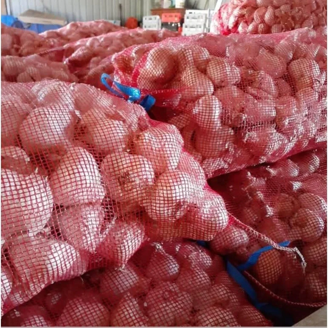 Additional image 14 of 495 Upper Stratheden Road, Kyogle NSW 2474