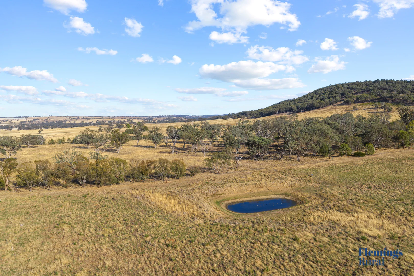 Additional image 9 of 145 Cusack Road, Boorowa NSW 2586