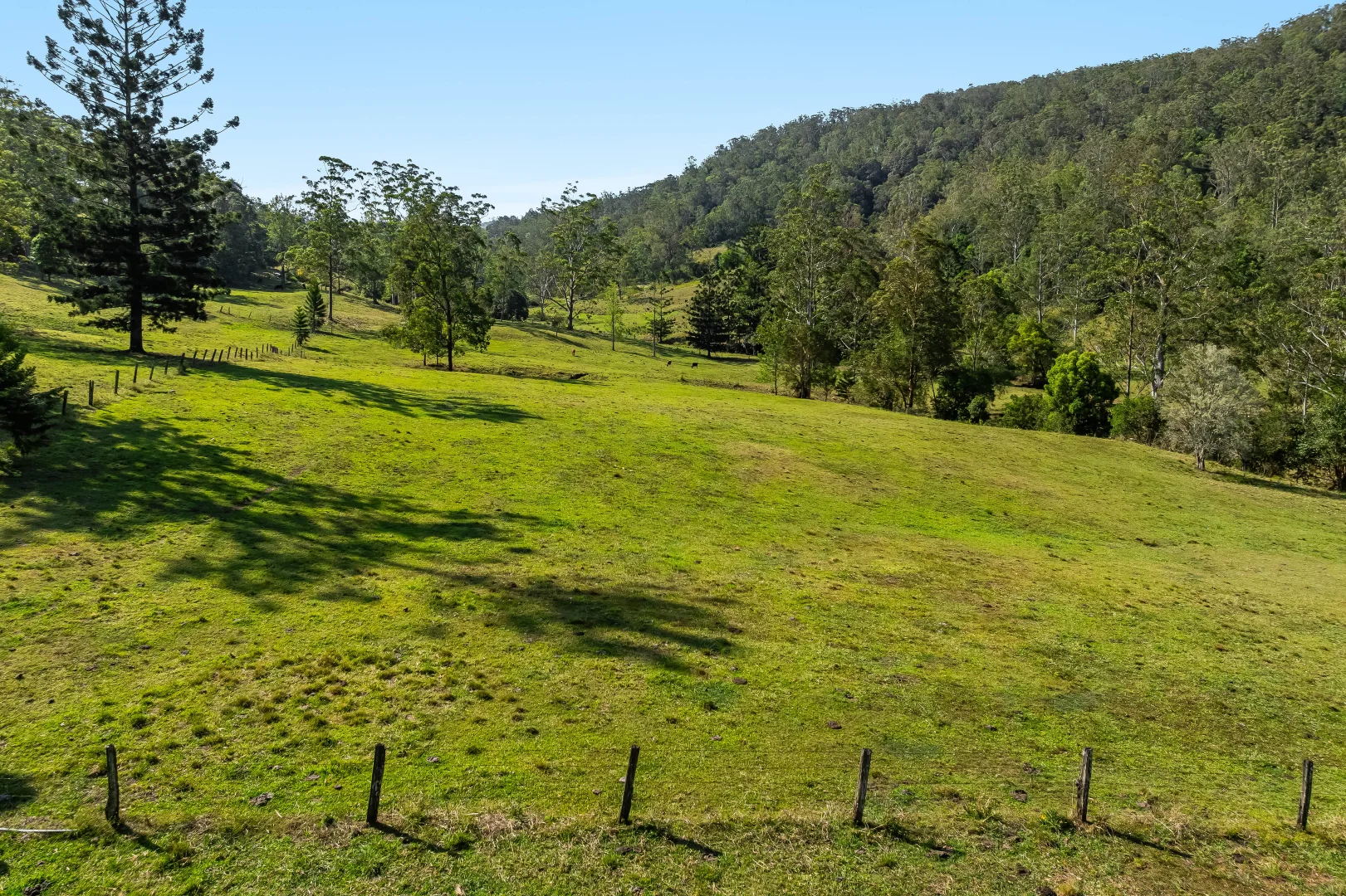 Additional image 9 of 300 Quilty Road, Rock Valley NSW 2480
