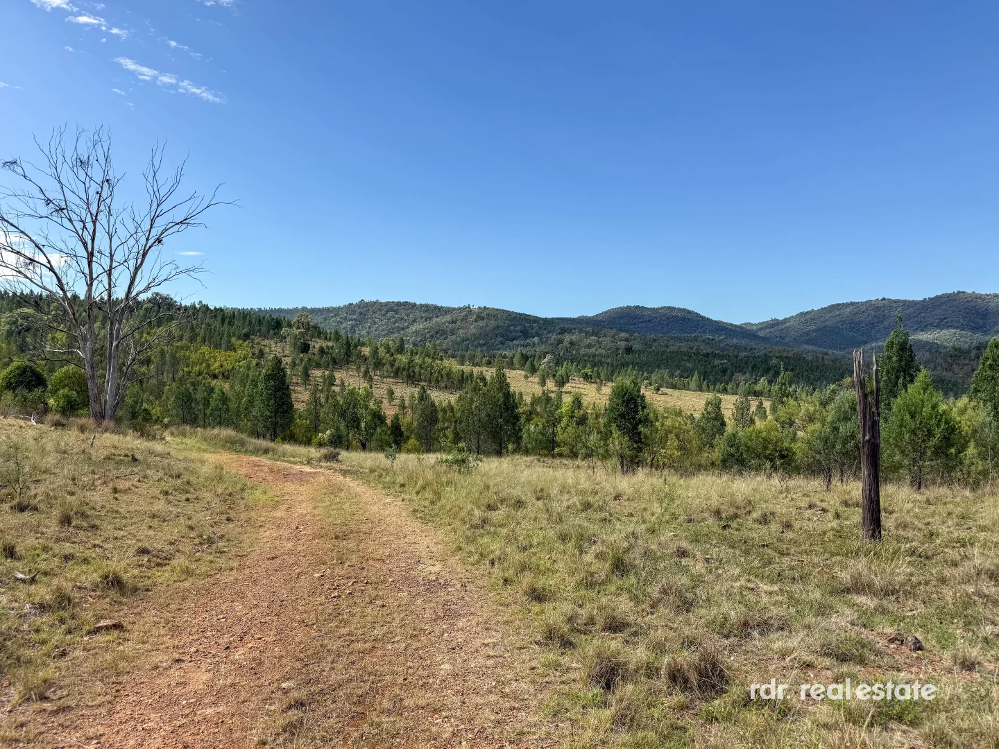 Additional image 21 of Lots 2 & 63 Copeton Dam Road, Bingara NSW 2404