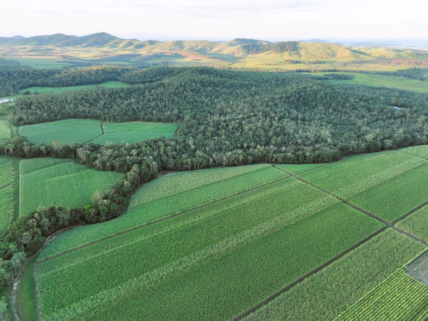 Additional image 15 of Sutherlands Road, Pindi Pindi QLD 4798