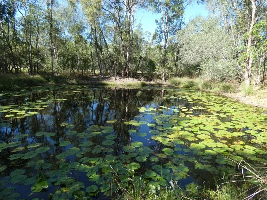 Additional image 23 of 45 Sheahan Road, Berajondo QLD 4674