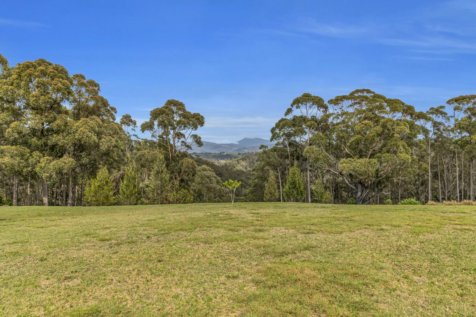 Additional image 12 of 217 Newpark Road, Brogo NSW 2550