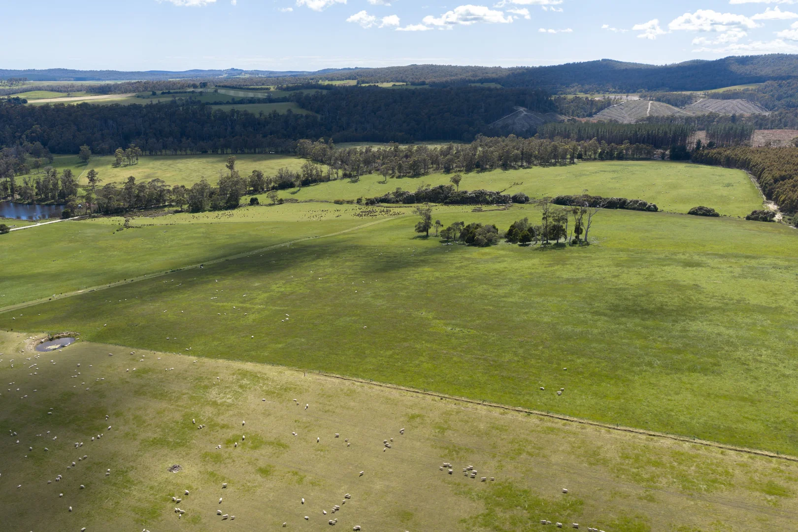 Additional image 2 of 120 Security Road, Pipers River TAS 7252