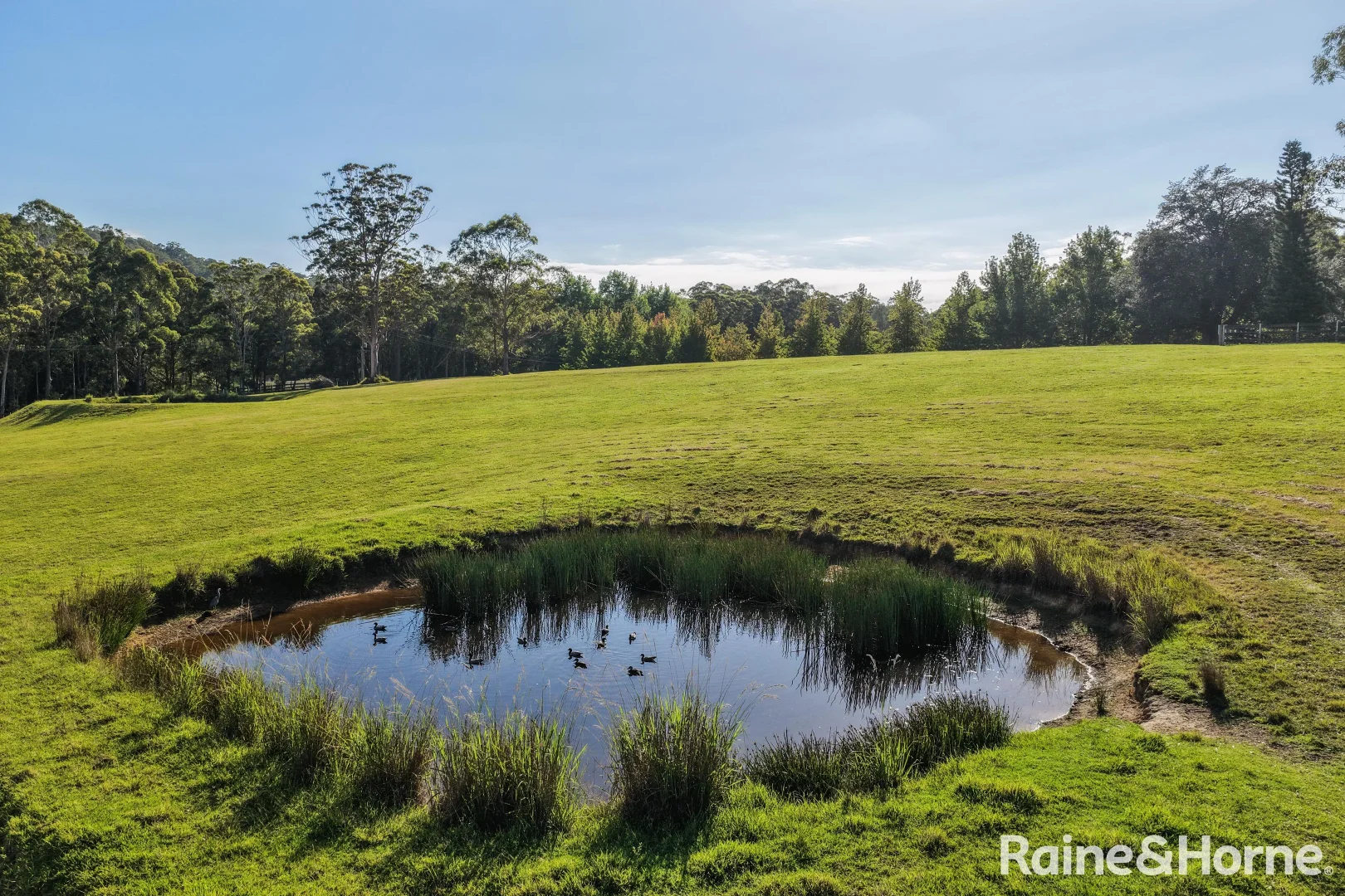 Additional image 22 of 56 Bawley Point Road, Termeil NSW 2539