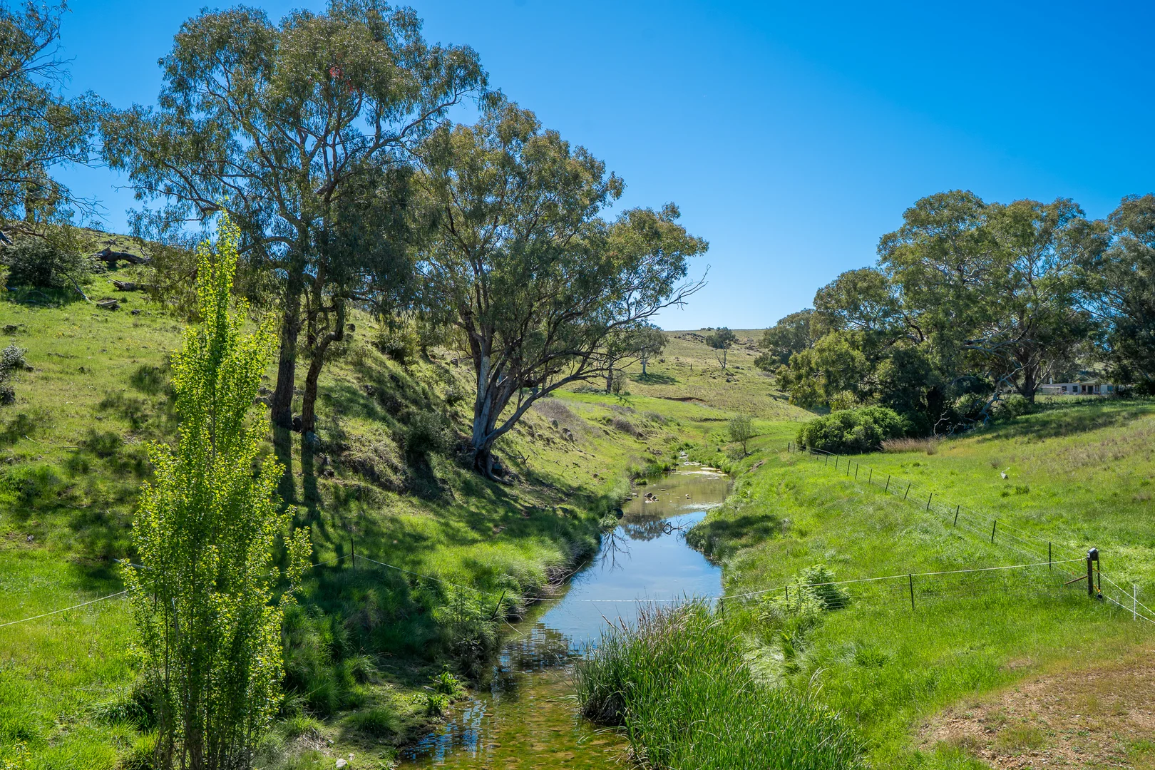 Additional image 27 of 'Wandella Park' 1097 Davys Plains Road via Cudal,, Orange NSW 2800