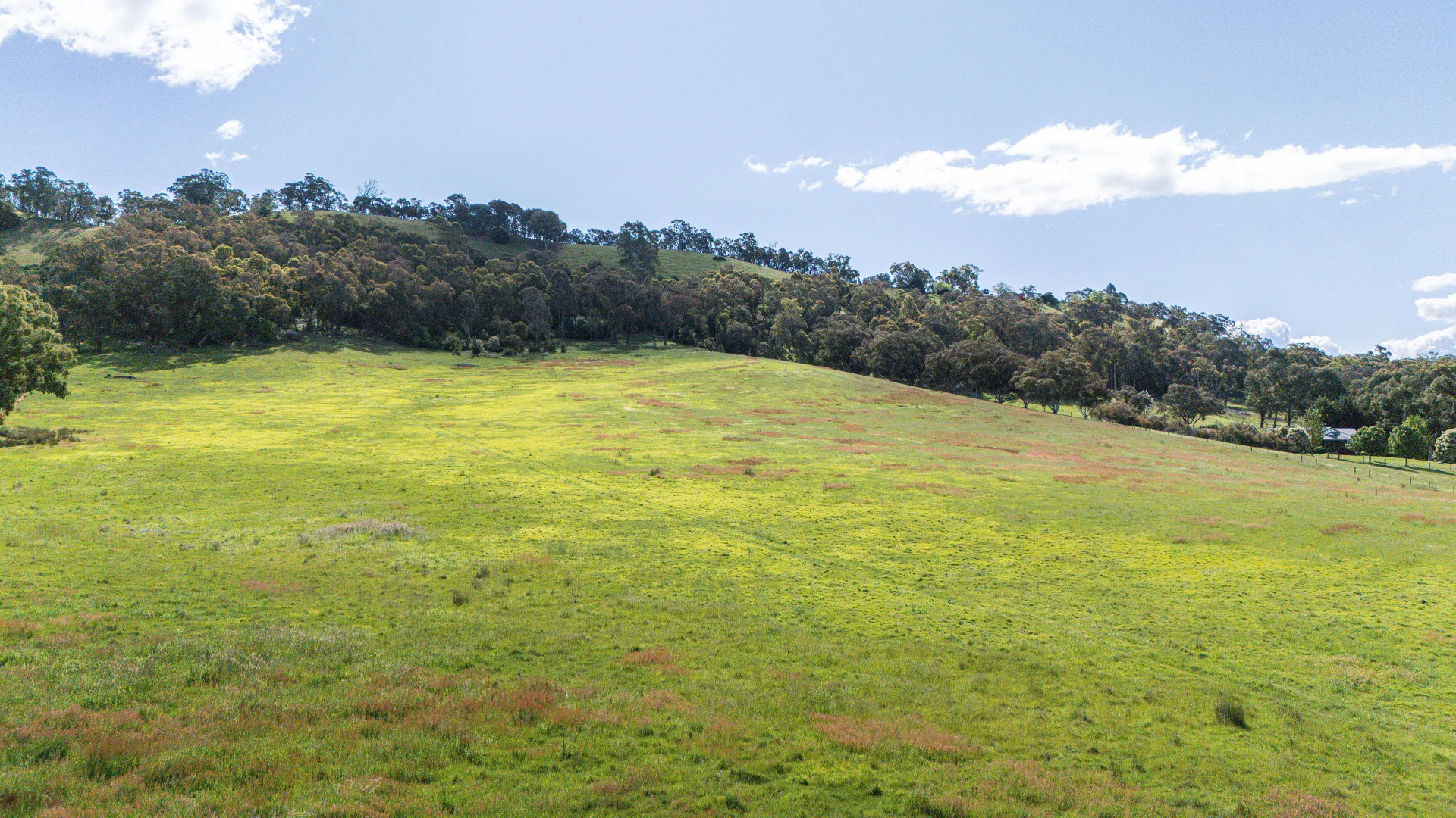 Additional image 9 of Lot 1/180 Buffalo Creek Road, Myrtleford VIC 3737