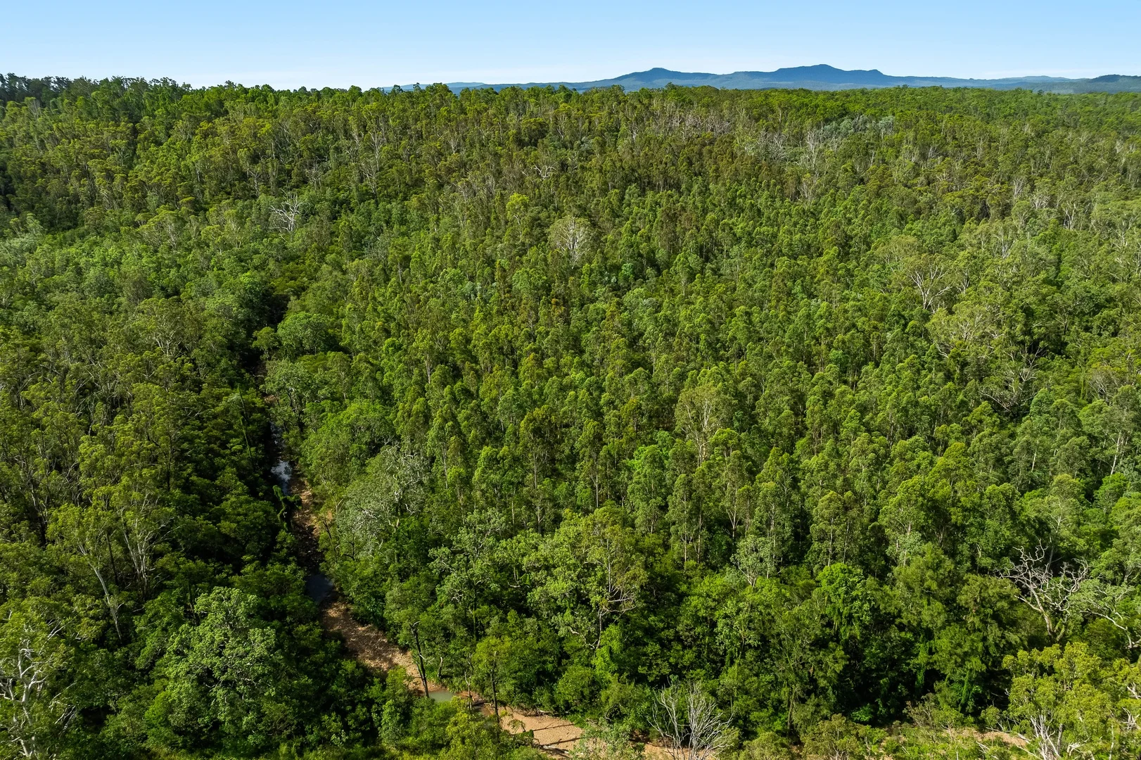 Additional image 22 of 284 Peckhams Road, Ewingar NSW 2469