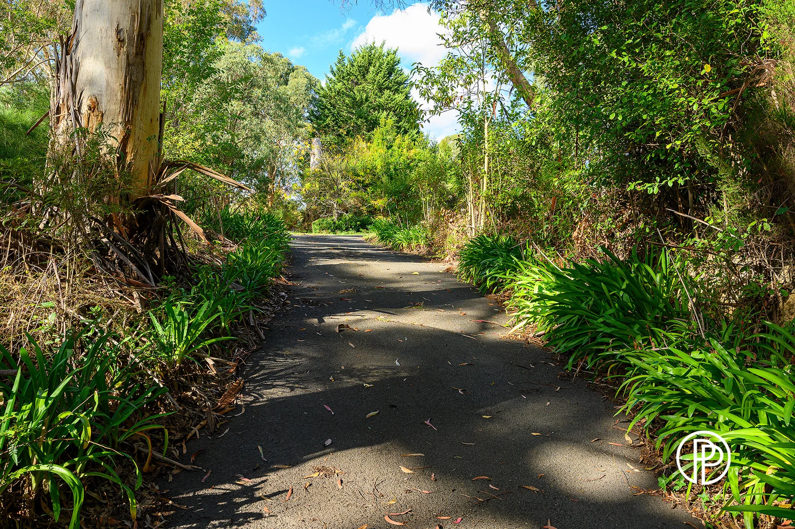 Additional image 13 of 40 Prices Road, Millgrove VIC 3799