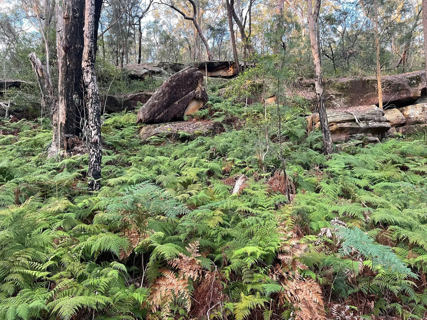 Additional image 14 of South Maroota NSW 2756