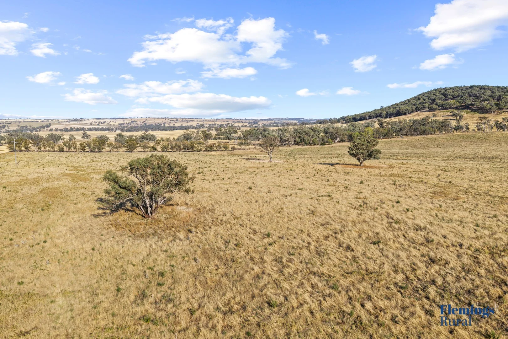Additional image 3 of 145 Cusack Road, Boorowa NSW 2586